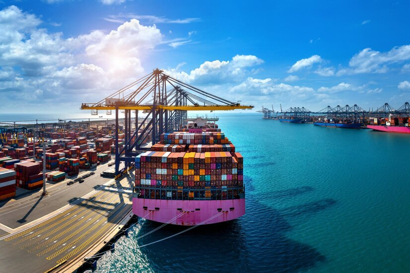 Maximize Duty Savings with Expert EPCG Support